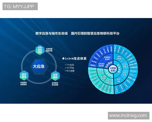 以安全为核心打造智能城市系统 提升公共安全与市民生活质量 以安全为核心打造智能城市系统 提升公共安全与市民生活质量